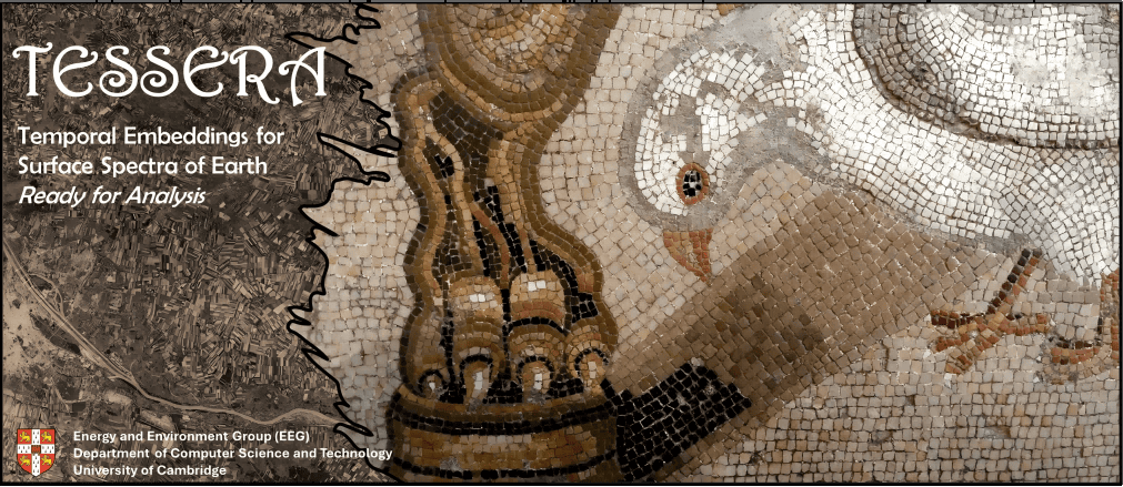TESSERA Produces Pixel-wise Global Earth Embeddings
